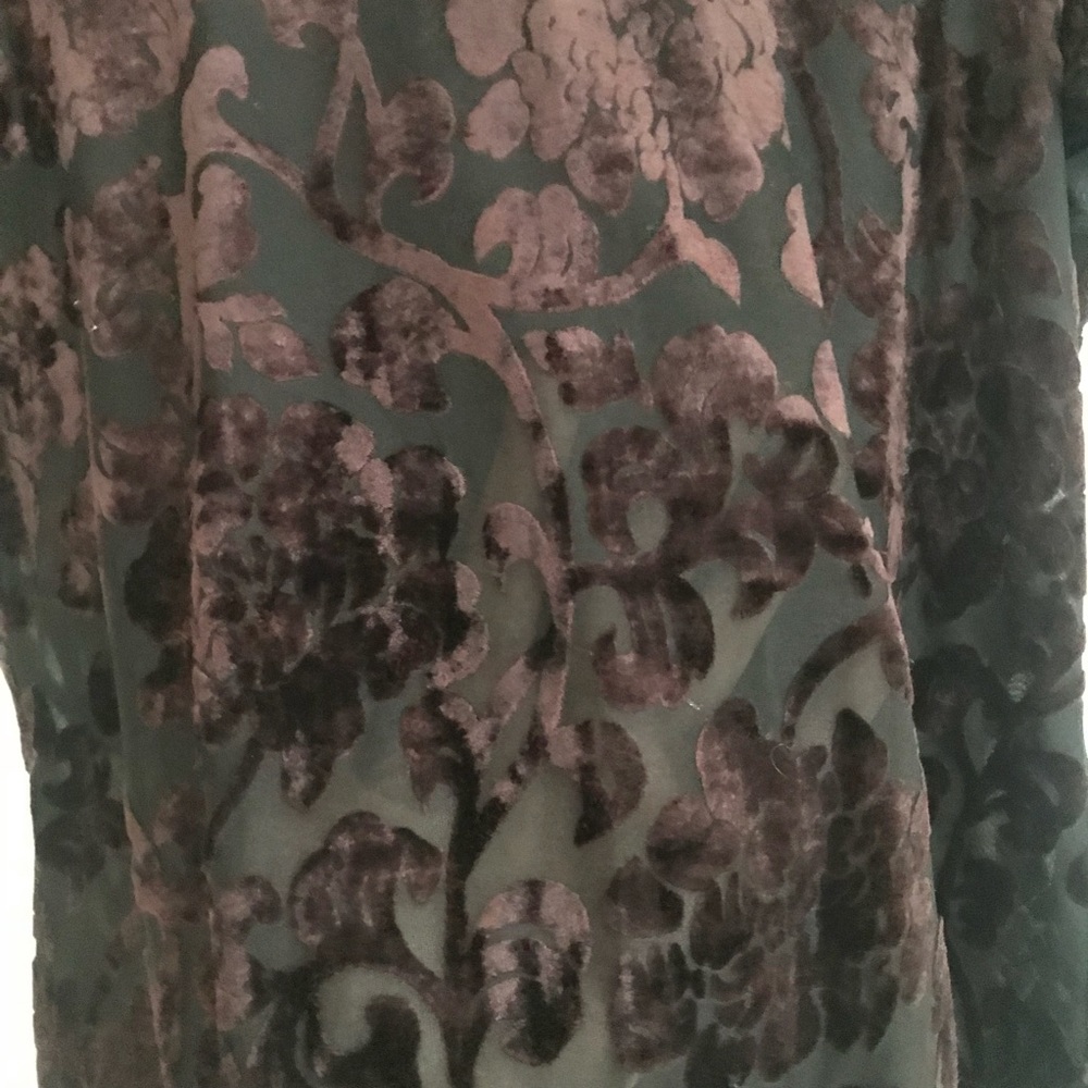Burgundy velvet appliqué sheer top
